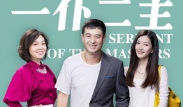 电视剧《一仆二主》,揭秘现代都市中的情感纠葛与职场风云